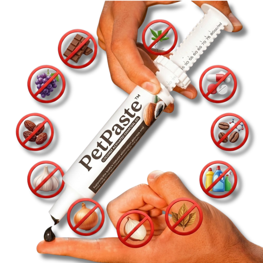 PetPaste™ Activated Charcoal